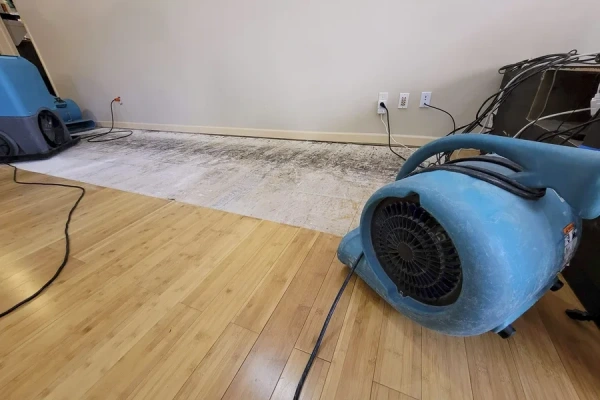 Basement Flooding Repair